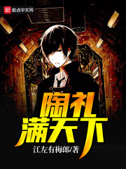 ����������С˵