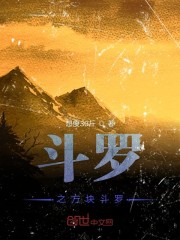 ����֮���鶷��С˵