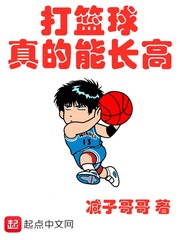 ����������ܳ���С˵